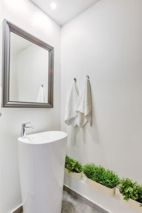 Splendor 3 Bedroom Flat In Silver Mountain Poiana Brașov Zewnętrze zdjęcie