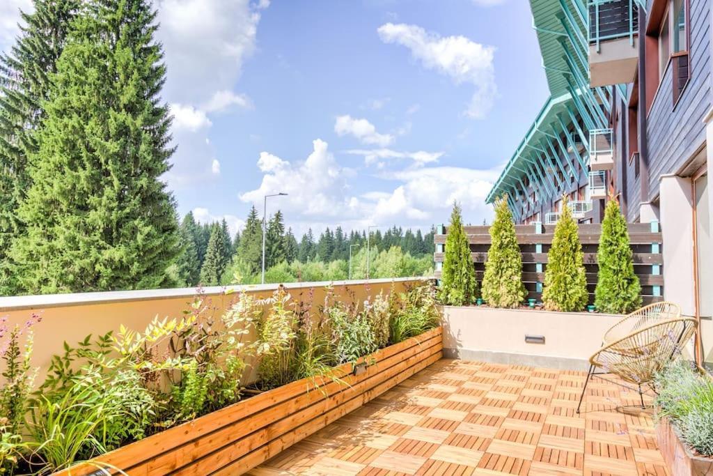 Splendor 3 Bedroom Flat In Silver Mountain Poiana Brașov Zewnętrze zdjęcie